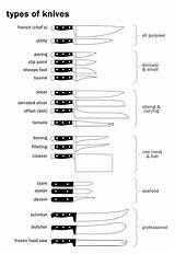 Types Knives Kitchen Cooking Choose Board sketch template