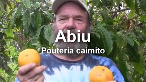 abiu youtube