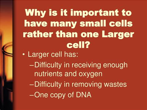cellular reproduction powerpoint    id