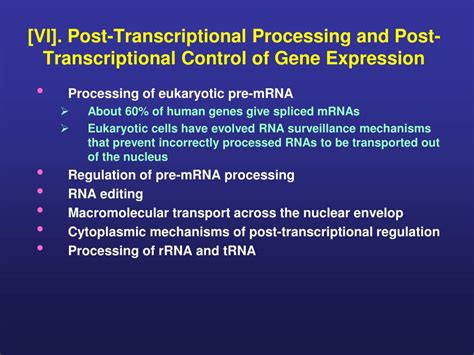 post transcriptional regulation of gene expression in eukaryotes