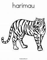 Tiger Coloring Worksheet Harimau Drawing Stripes Has Lsu Tigre Print Tracing Pages Orange Outline Animals Est Le Twisty Noodle Clipart sketch template