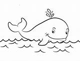 Whale Coloring Pages Kids Kindergarten K5worksheets Worksheets Printable Preschool Sheets sketch template