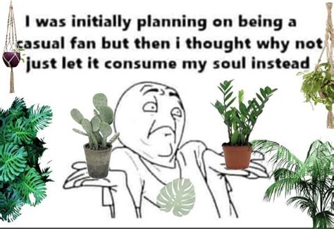 yup   basically  happened   house plant  wait
