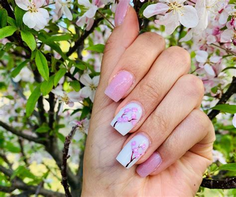 cherry blossoms nails beauty cherry blossom