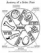 Passover Seder Plate Drawing Coloring Printable Paintingvalley Pesach Teacherspayteachers Choose Board Pages sketch template