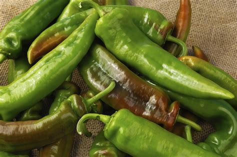 types  hot peppers ranked  mild  fiery