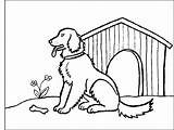 Retriever Chesapeake Puppy Kleurplaten Kleurplaat Dogs sketch template