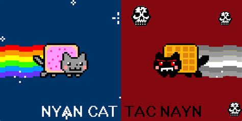 Tac Nayn And Nyan Cat  Tac Nayn Photo 26039292 Fanpop
