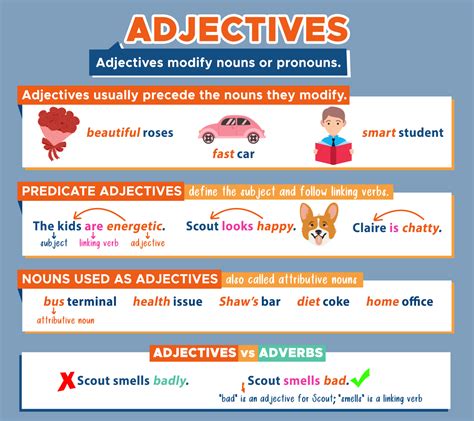 adjectives modifying nouns pronouns curvebreakers