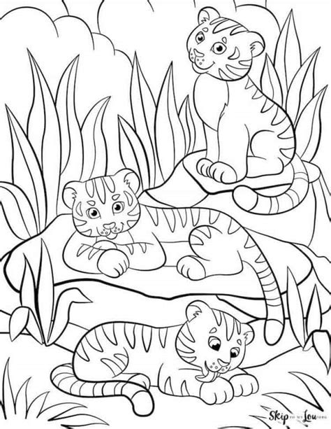 tiger coloring pages skip   lou