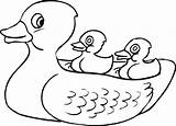 Duck Drawing Outline Rubber Coloring Ducky Pages Baby Daffy Ernie Printable Color Getdrawings Daisy Getcolorings Clipart Clipartmag Print sketch template