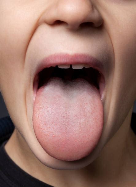 sticking  tongue stock  pictures royalty  images istock