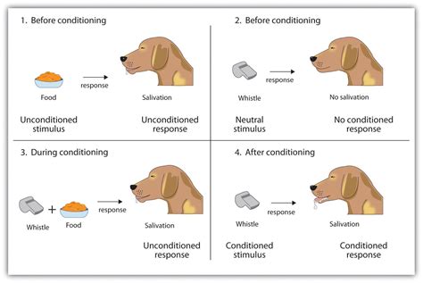 radical education classical conditioning