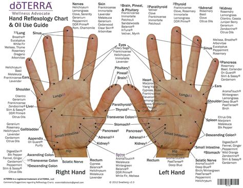 Free Printable Hand Reflexology Templates [charts Maps] Pdf