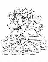 Tropical Coloring Pages Leaves Flower Color Getdrawings Drawing Printable Getcolorings sketch template
