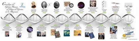 cronologÍa del genoma humano timeline timetoast timelines