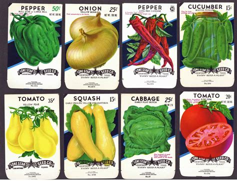 collection   vintage vegetable seed packets thelabelman
