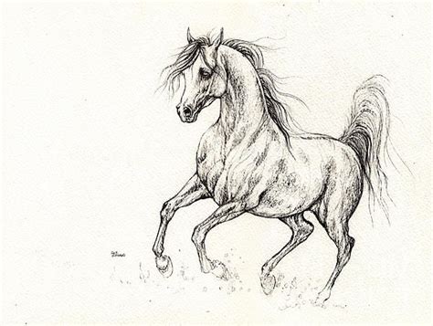 arabian horse drawing     angel tarantella horse art