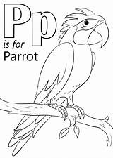 Parrot Animals Supercoloring Letra Abc Cinderella Dibujar sketch template