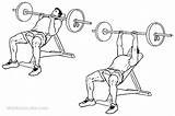 Bench Incline Grip Close Press Drawing Workoutlabs Getdrawings Presses Exercise sketch template