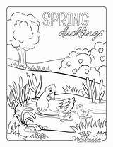 Coloring Spring Pages Duck Duckling Mother Sheet Pond Easy Printable Cute sketch template