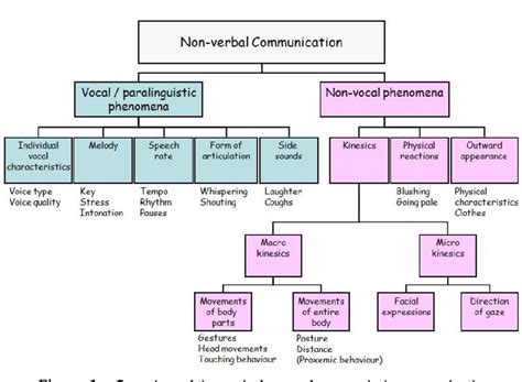 verbal communication      foreign language