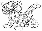 Leopard Snow Coloring Baby Pages Getcolorings sketch template