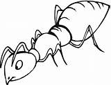 Ant Drawing Line sketch template