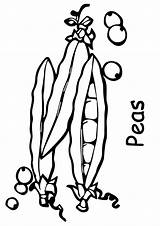 Erbsen Peas Ausmalbilder Ausmalbild Q2 sketch template