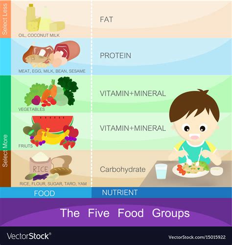 food groups royalty  vector image vectorstock