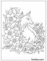 Foxes Coloring Verbnow sketch template