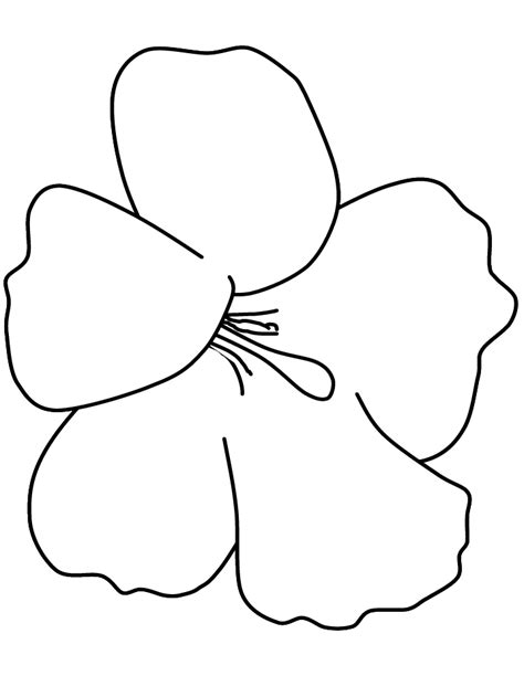 hawaiian flower template clipart