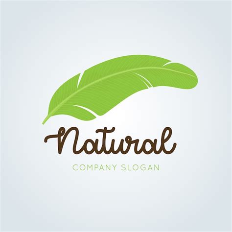vector natural logo design