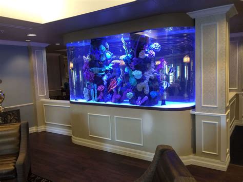 ideas  arrange  aquarium  fish tank  home  enhanced