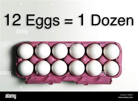 dozen  eggs stock photo alamy