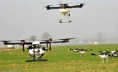 tech savvy chinese farmers  drones  spray pesticide daily mail