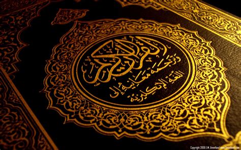 copy   quran   islamic literature stand