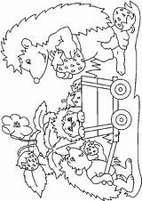 Egels Hedgehogs Colorat Igel Egel Ricci Kleurplaten Herisson Riccio Animale Arici Igeln Ausmalen Fraise P01 Hedgehog Colorier Planse Ausmalvorlagen Ausmalbild sketch template