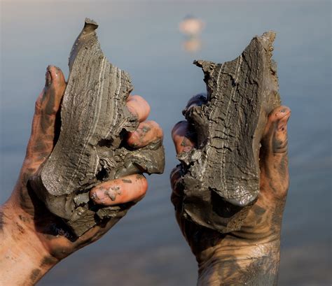 dead sea mud  benefit  skin vivo  lei