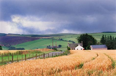 scottish farmland market holding   brexit uncertainty press  journal