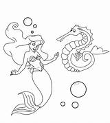 Coloring Seahorse Pages Mermaid Horse Sea Printable Little Coloringbay sketch template