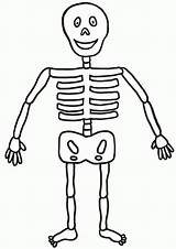 Skeleton Kids Coloring Human Pages Bones Clipart Friendly Drawing Outline Printable Print Minecraft Clip Bone Cliparts Easy Color Simple Tasmanian sketch template