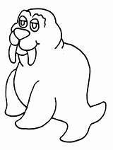 Walrus Coloring Pages Printable Animals Kids Cliparts Easy Clipart Print Clip Popular Coloringbay Book Advertisement Favorites Add sketch template