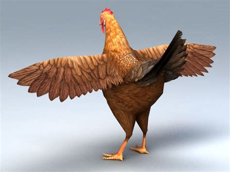 hen female chicken  model ds max files   modeling   cadnav