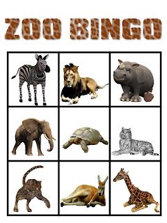 educational kismet zoo animal bingo