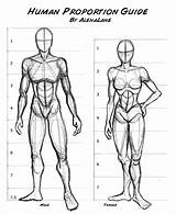 Body Drawing Human Pst Nov sketch template