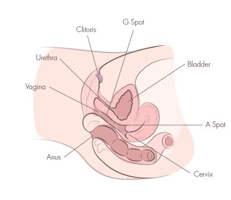 how to find your g spot easily and quickly