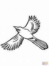 Magpie Flying Coloring Pages Color Printable Version Click Clipart Online Compatible sketch template
