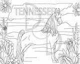 Tennesse sketch template