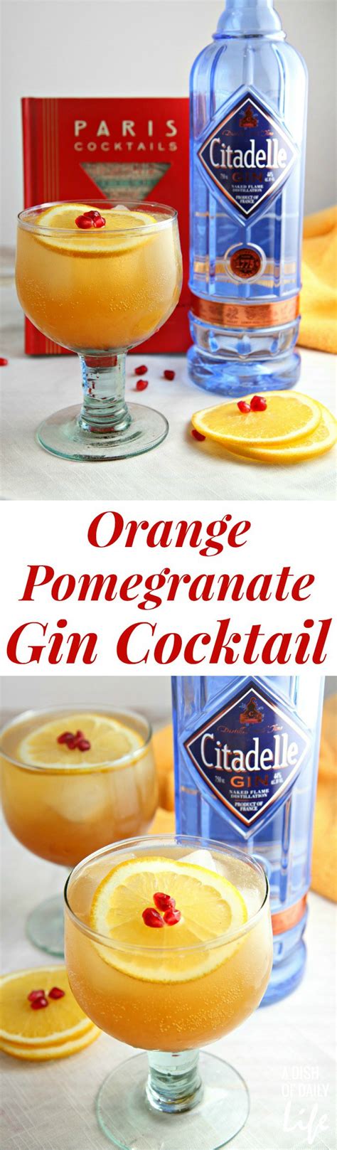 orange pomegranate gin cocktail recipe a dish of daily